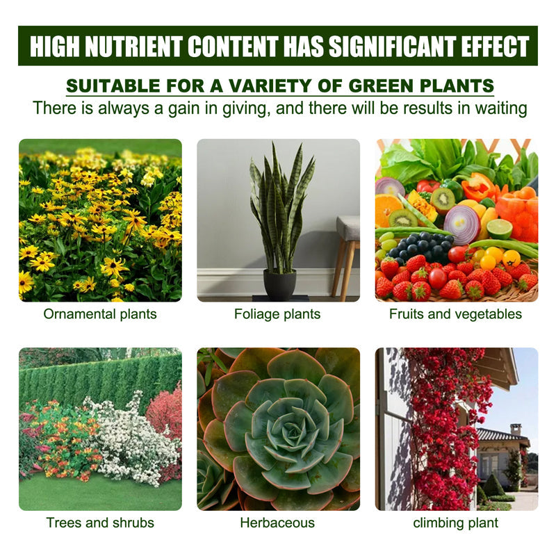 Plant Nutrient Solution