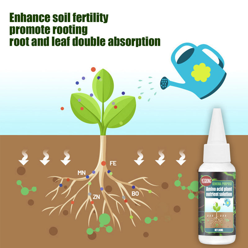 Plant Nutrient Solution